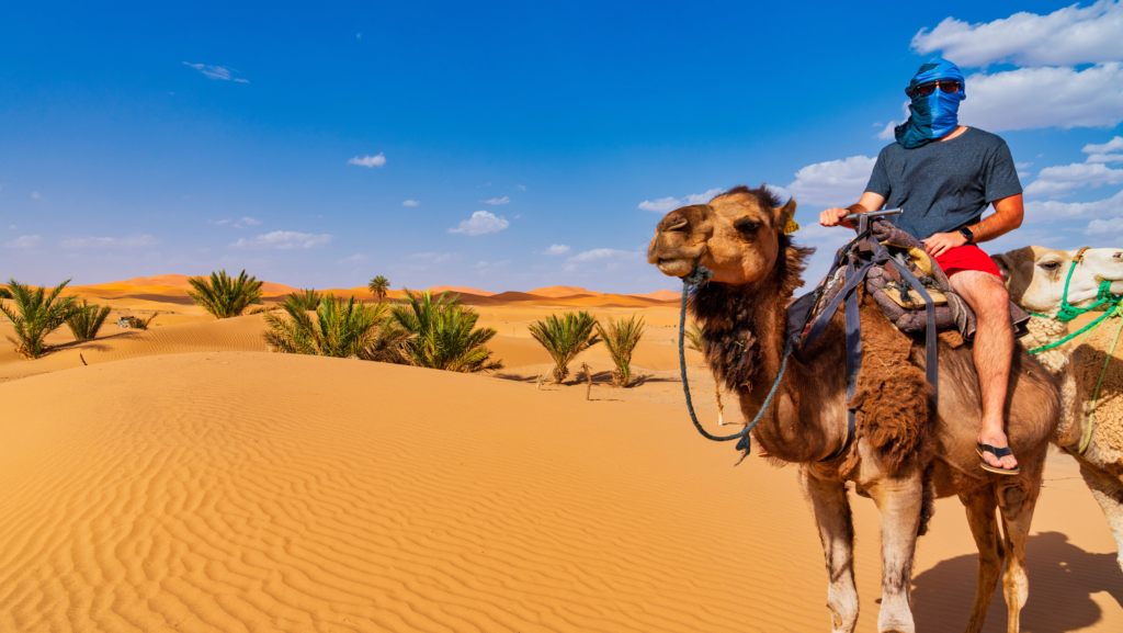 VIAJE DE 8 DIAS DESDE FEZ AL DESIERTO Y MARRAKECH - Marruecos Atlas Viajes