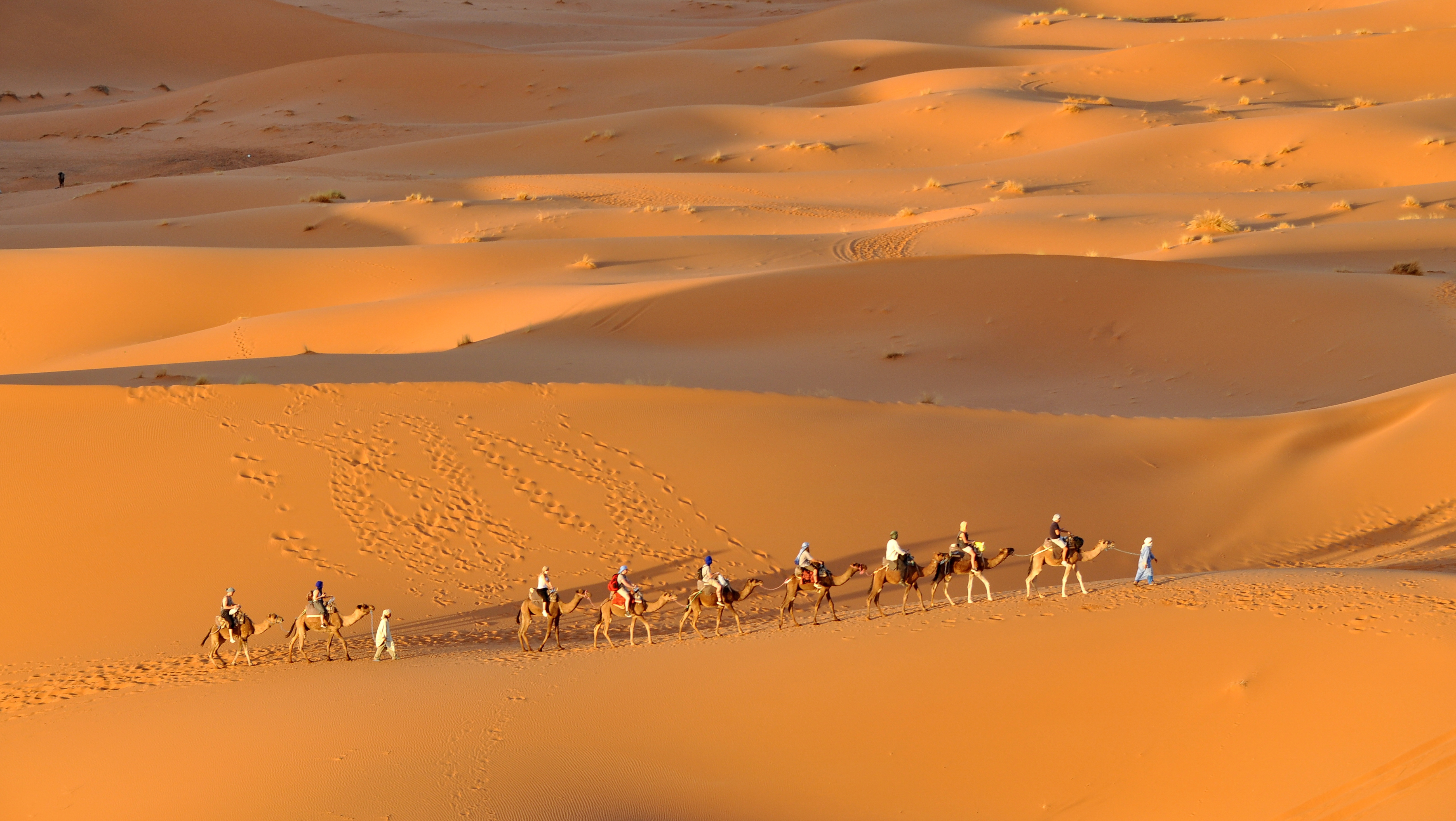 CAMEL TREKKING AND OVERNIGHT STAY IN A DESERT CAMP